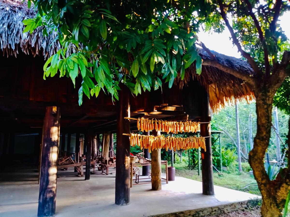 Hotel Muong Retreat- Nghi Duong Xanh Trong Bao Tang Van Hoa Nghe Thuat,Hòa Bình Zewnętrze zdjęcie